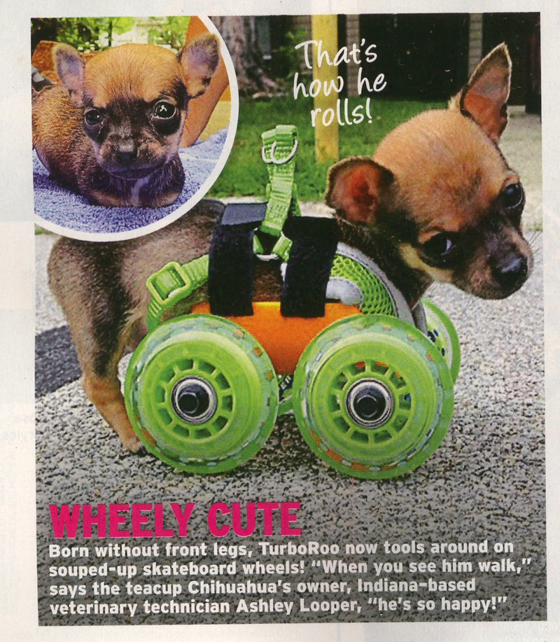 Illustration for article titled This Week in Tabloids: Rihanna Is #1 on Cara Delevingneās Fuck List